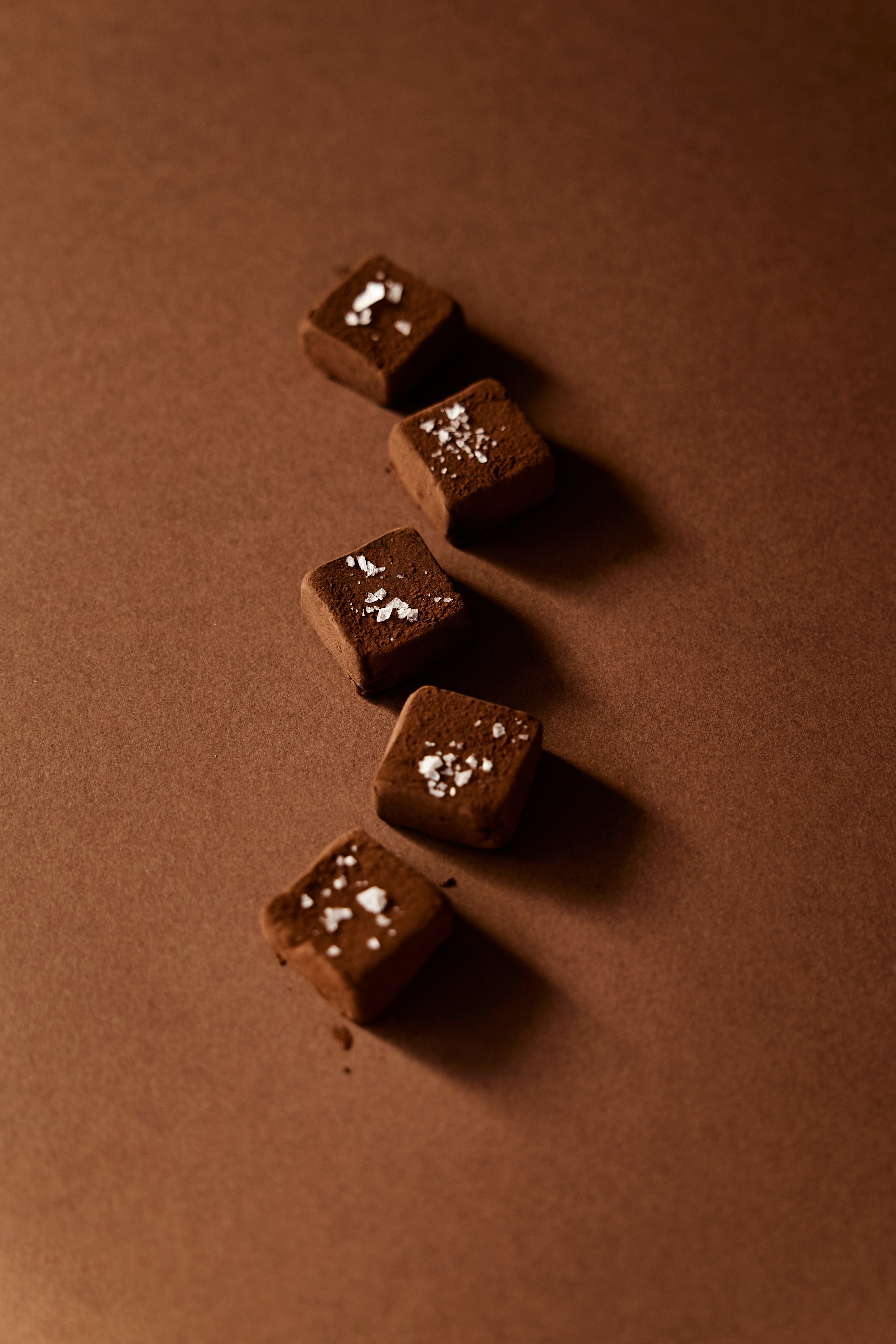 Dark Chocolate Sea Salt Date Truffles - Mini