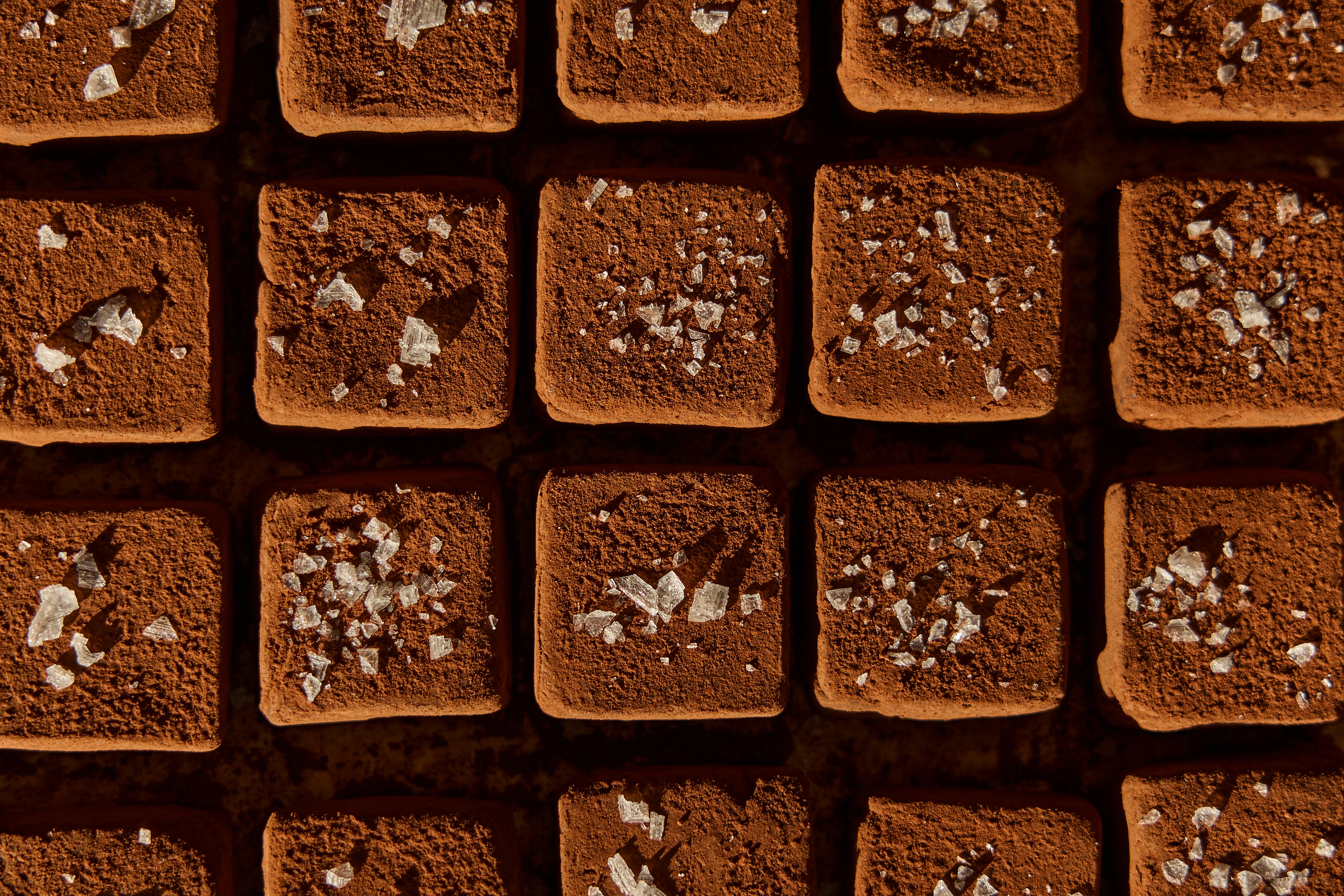 Dark Chocolate Sea Salt Date Truffles - Mini